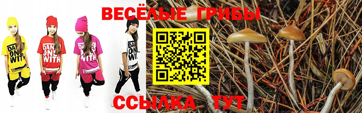 Каменка  Галлюциногенные грибы Cubensis  Псилоцибиновые грибы Cubensis  где найти наркотики  Вход с VPN 