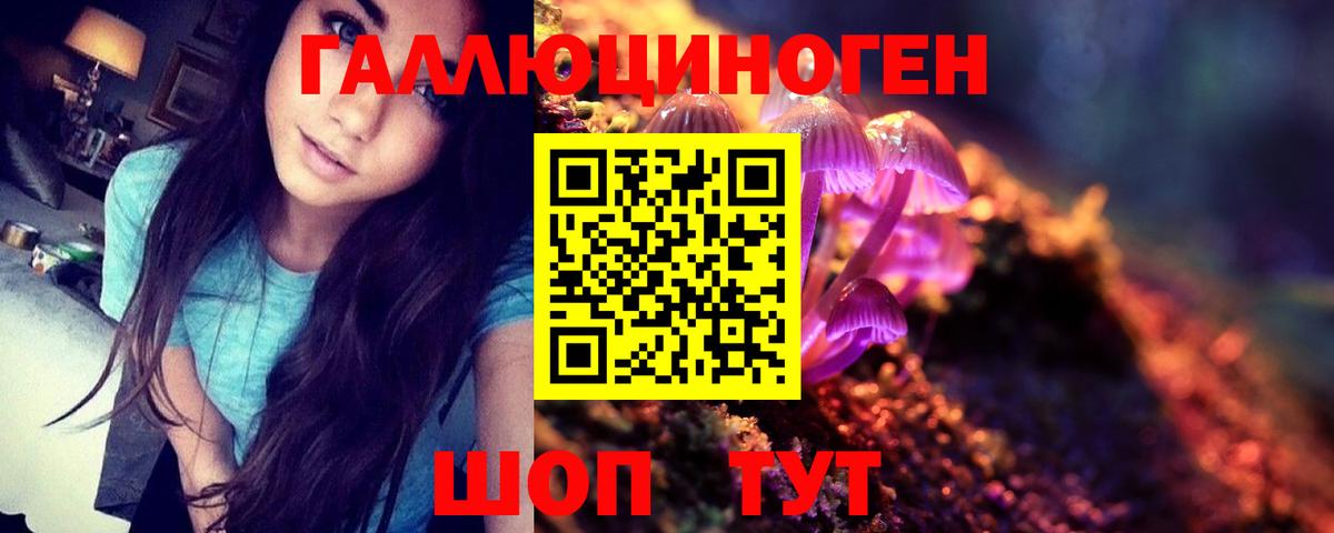 Псилоцибиновые грибы прущие грибы Каменка